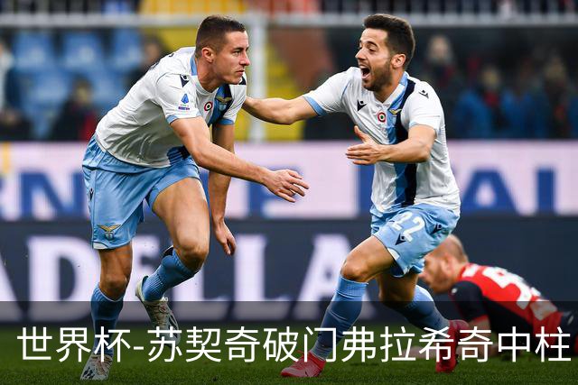 世界杯-苏契奇破门弗拉希奇中柱 克罗地亚半场1-0加纳