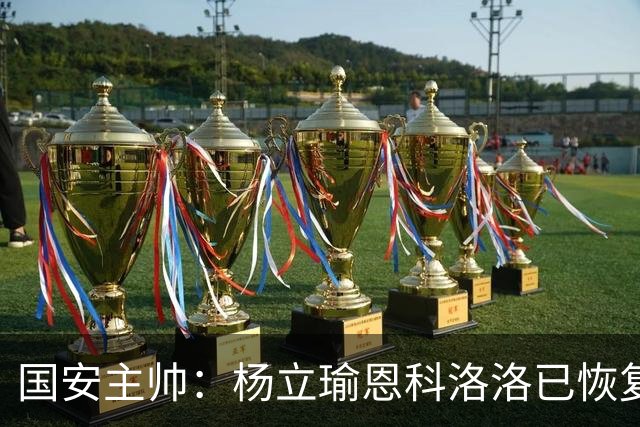 国安主帅：杨立瑜恩科洛洛已恢复 球队有很多要提升的地方